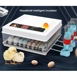 Household intelligent incubator For chicken/duck/goose/pigeon/quail Egg hatching 64pcs Automatic egg turning/water replenishment