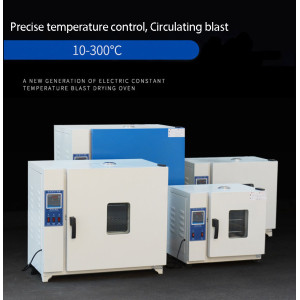 Blast drying oven Laboratory Electric constant temperature oven Small dryer High temperature drying equipment Industrial oven