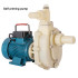 Corrosion resistant/Acid and alkali resistant Circulating Water pump Centrifugal pump/Self priming pump For Pumping seawater