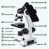 10000 times Microscope household primary school students Biological experiment Students electronics major children's Science